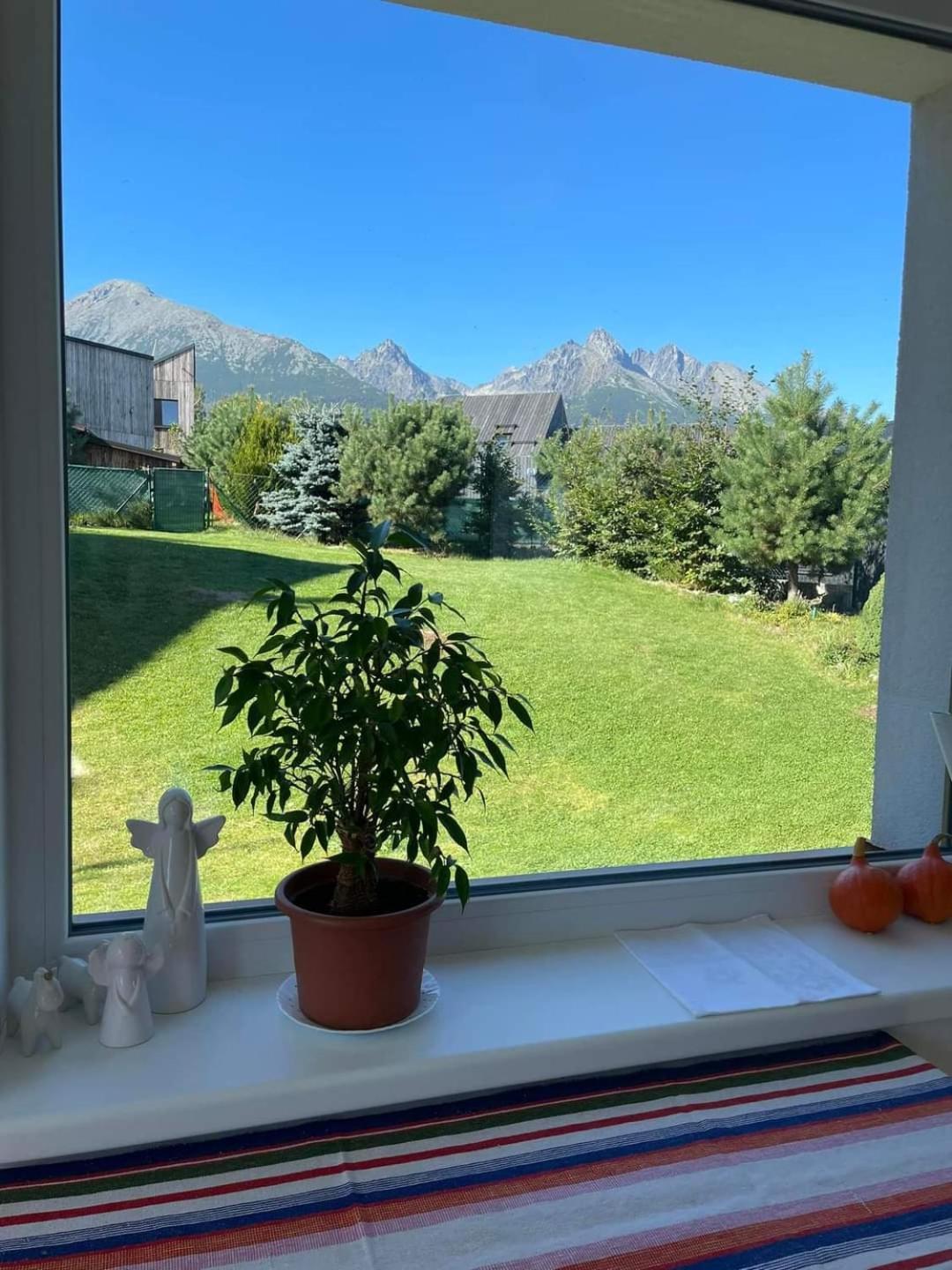 Vila Lesna House With A Garden 2 Minutes From The Center Of The Tatras Nová Lesná Buitenkant foto